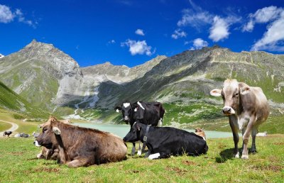 Landschaft (c) TVB Pitztal